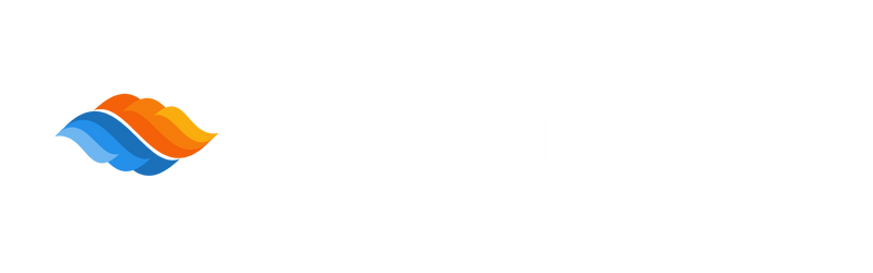 P4 Software